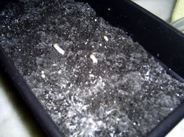 Imagem 0400.jpg