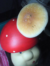 golias jr 008.jpg