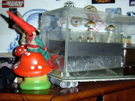 DSC00151.JPG