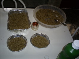 Preparando casing 28-09-06.JPG