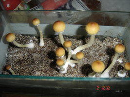 DSC00159.JPG