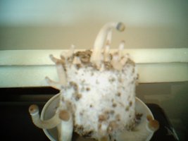 0910_102437X.jpg