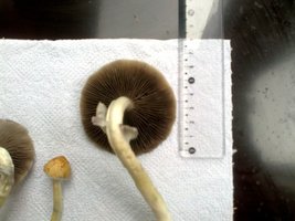 17102011018.jpg
