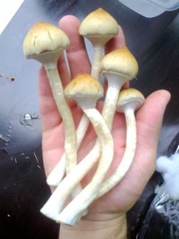 17102011024.jpg