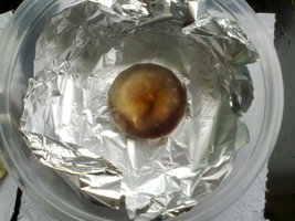 17102011025.jpg