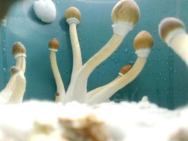 17102011027.jpg