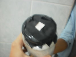 PB150016.JPG