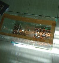 DSC02056.JPG