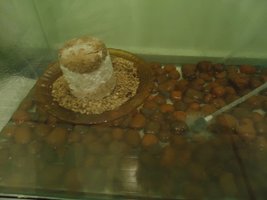 DSC02122.JPG