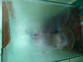 DSC02177.JPG
