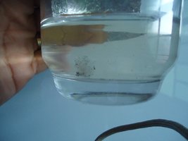 DSC02210.JPG