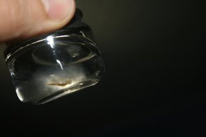 IMG_5408_640x427.jpg