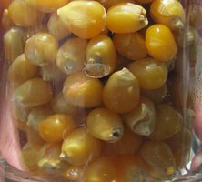 IMG_1167.JPG