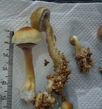 DSC02365.JPG