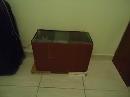 DSC02403.JPG