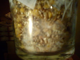 DSC00064.jpg