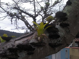 2011-11-13_13-55-12_155.jpg