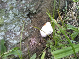 2011-11-13_13-55-47_38.jpg