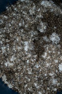 _DSC0210.jpg