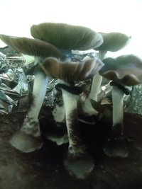 DSC03104.JPG