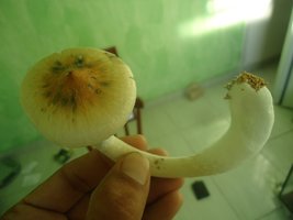 DSC03115.JPG