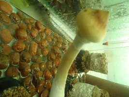 DSC03118.JPG