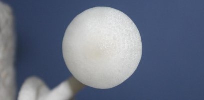 albino 03_1860x914.jpg