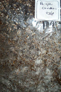 95931-picture003_small.jpg