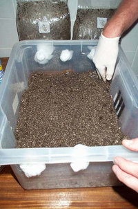 14300-picture011_small.jpg
