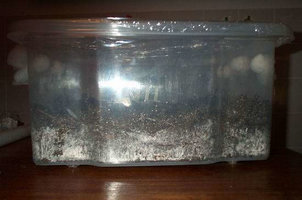 23016-picture013_small.jpg