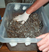 23156-picture009_small.jpg