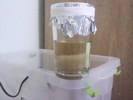IMG_20120118_163236.jpg