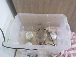 IMG_20120118_163300.jpg