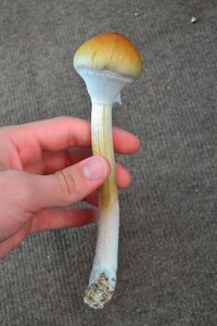 2812 023.jpg