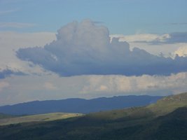 cogusDSCN6386st.JPG