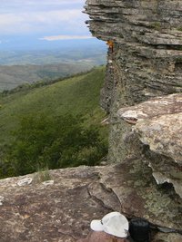 cogusDSCN6396st.JPG