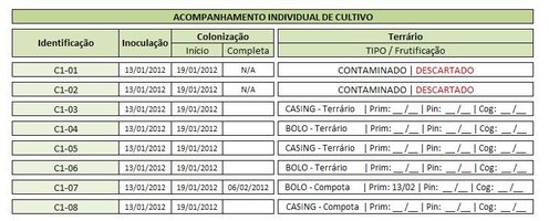 CULTIVO02.JPG