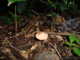 DSC04860.JPG