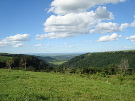 DSC04897.JPG