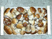 boletusedulisfrescocaixa.jpg