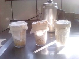 IMG_20120226_082840.jpg
