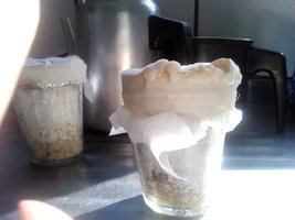 IMG_20120226_082910.jpg