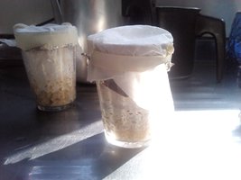 IMG_20120226_082924.jpg