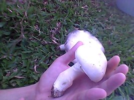 Snapshot_20120312_1.jpg