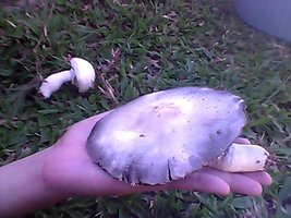 Snapshot_20120312_2.jpg