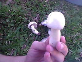 Snapshot_20120312_4.jpg