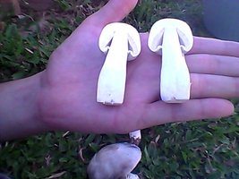 Snapshot_20120312_5.jpg