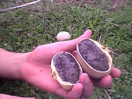 Snapshot_20120316_2.jpg