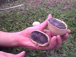 Snapshot_20120316_3.jpg