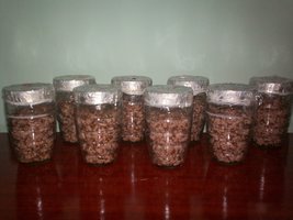 100_2603.JPG